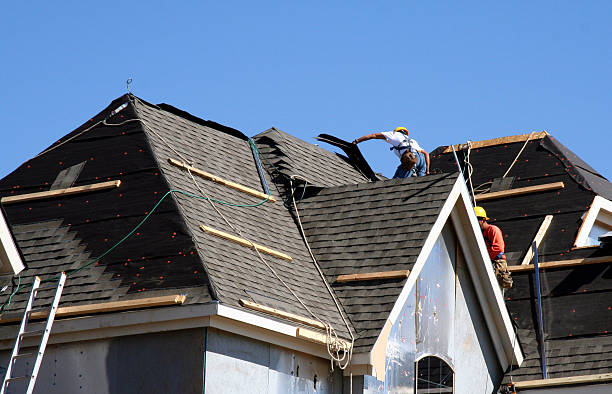 Best Roof Gutter Cleaning  in Ellwood City, PA