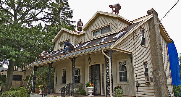 Roof Waterproofing Services in Ellwood City, PA