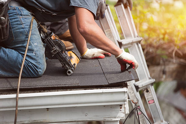 Best Storm Damage Roof Repair  in Ellwood City, PA