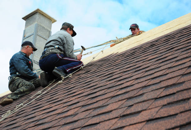 Best Flat Roof Repair Services  in Ellwood City, PA